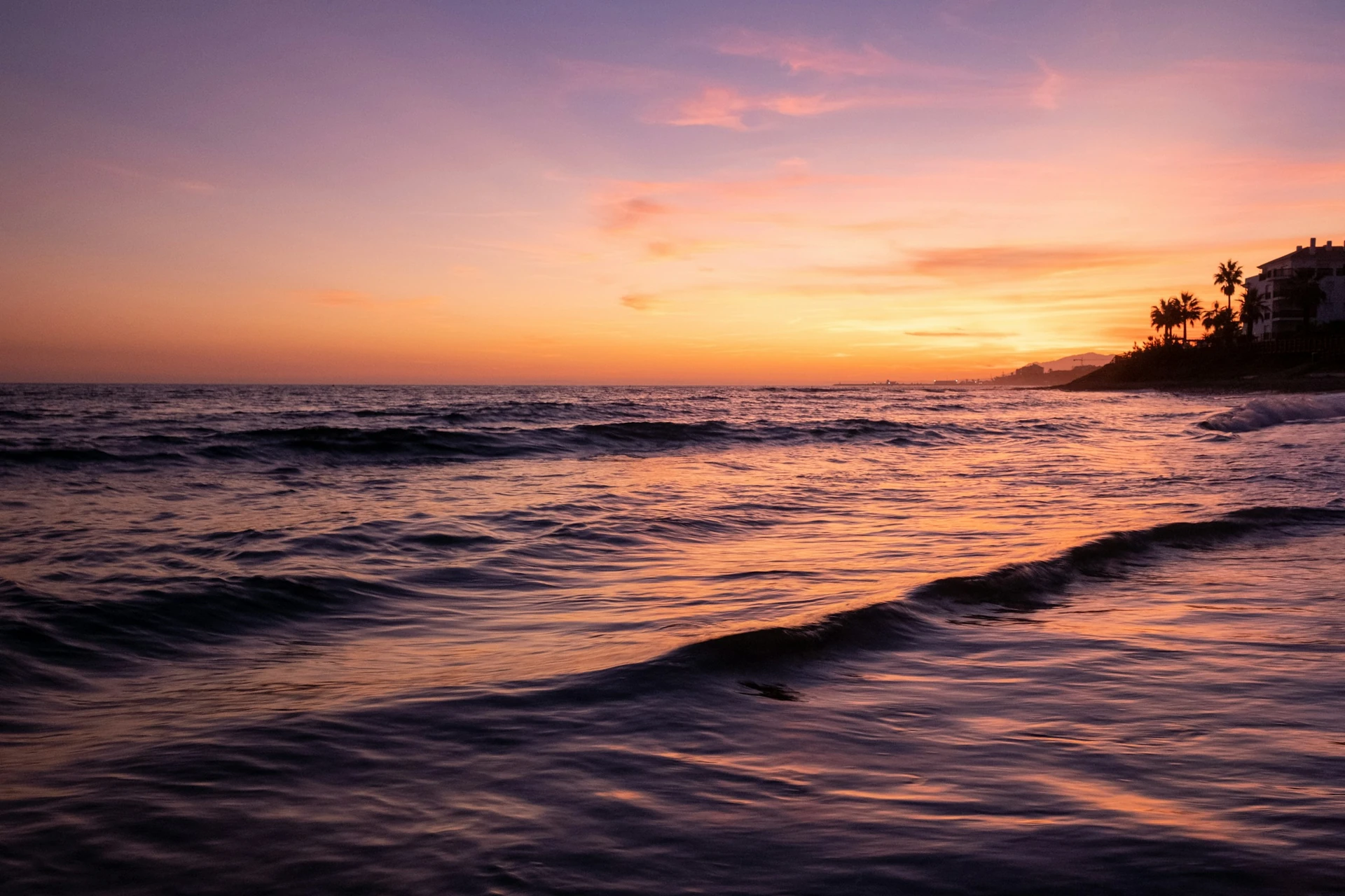 Atardecer rosado sobre el mar y la orilla con palmeras en Marbella
